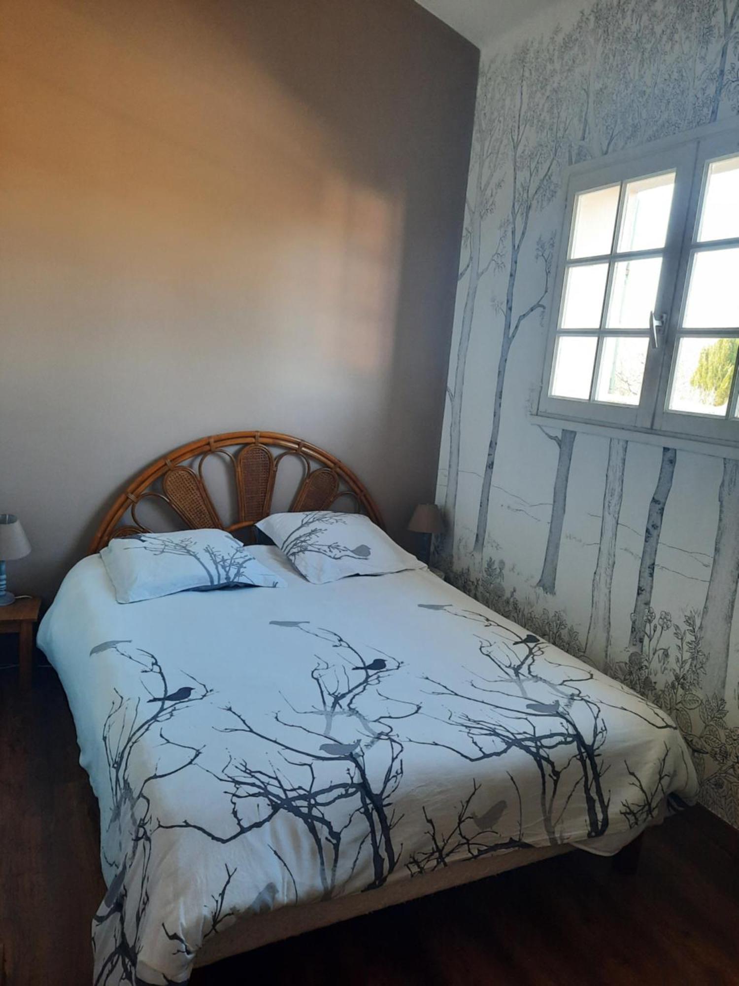 2 Chambres Lit140 Et 2Lits 90 Dans Villa Proche Ligue Foot,Golf Palmola,Clinique Stjean Lapeyrouse-Fossat Buitenkant foto